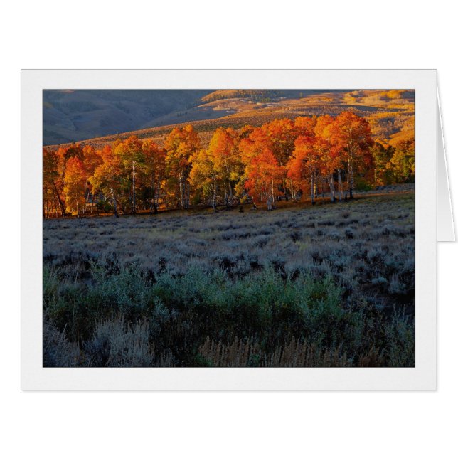 "Obere Sommerwiese" (Vorderseite (Horizontal))