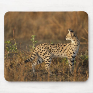 Oberer Mara, Masai Mara Game Reserve, Kenia, Mousepad