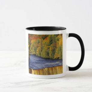 Oberer Tahquamenon-Wasserfall in UP Michigan in Tasse