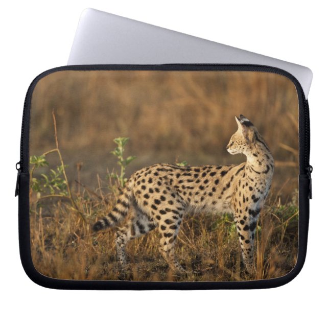 Obermara, Masai Mara Game Reserve, Kenia, Laptopschutzhülle (Vorderseite)