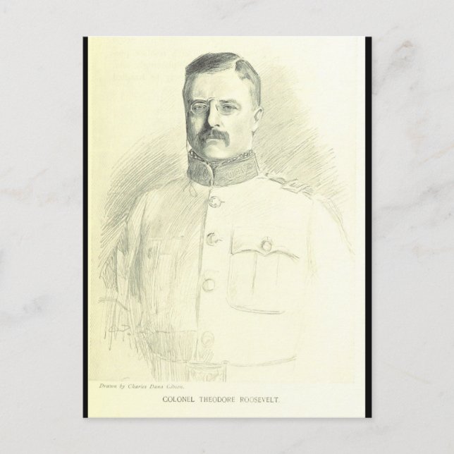 Oberst Theodore Roosevelt Postkarte (Vorderseite)