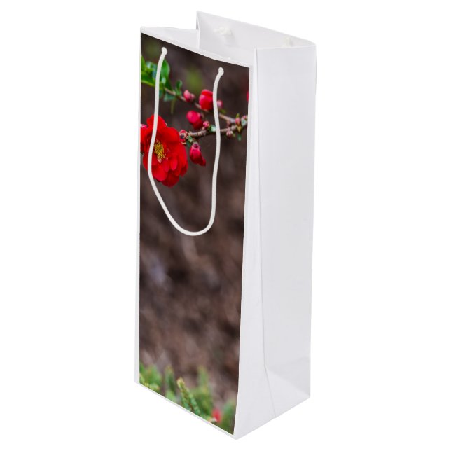 Oberteil Geschenktüte Für Weinflaschen (Vorderseite Schrägansicht)