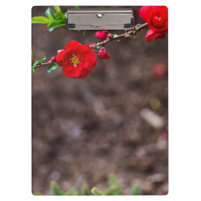 Oberteil Klemmbrett (Vorderseite)