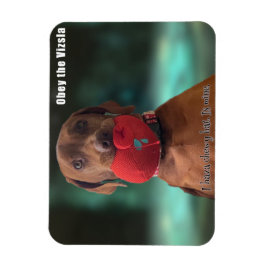 Obey der Vizsla Chewy Hat Magnet