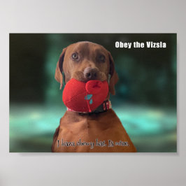 Obey Vizsla Poster