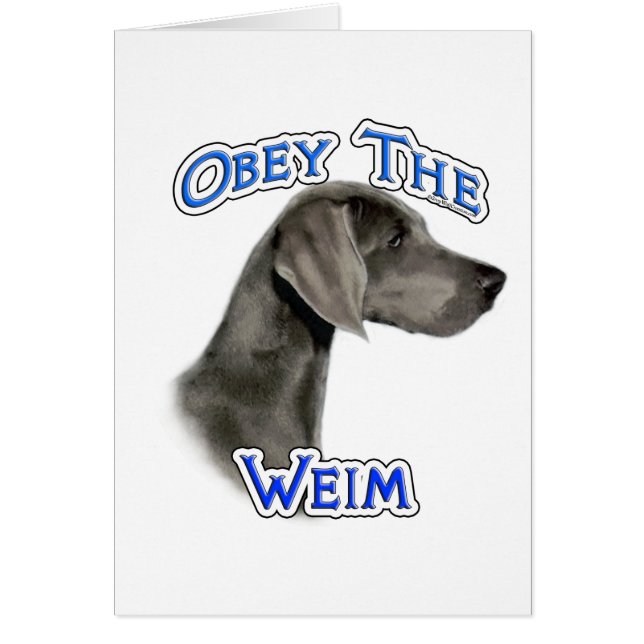 Obey Weimaraner (Vorne)