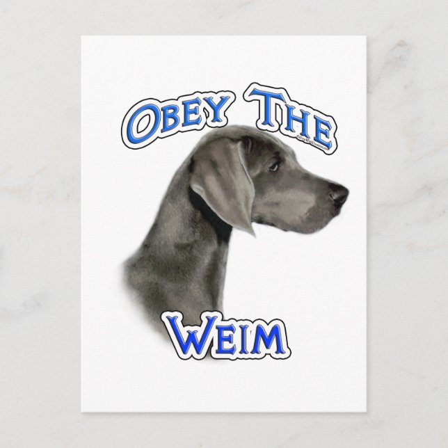 Obey Weimaraner Postkarte (Vorderseite)