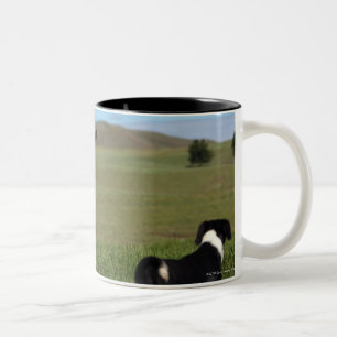 Obgleich Kühe und Hunde von unterschiedlichem sin Zweifarbige Tasse