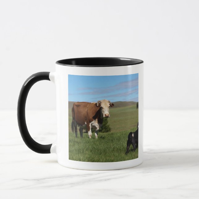 Obgleich Kühe und Hunde von unterschiedlichem sind Tasse (Links)