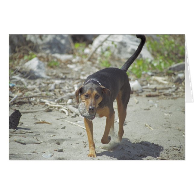 Obie Karte (Vorderseite (Horizontal))