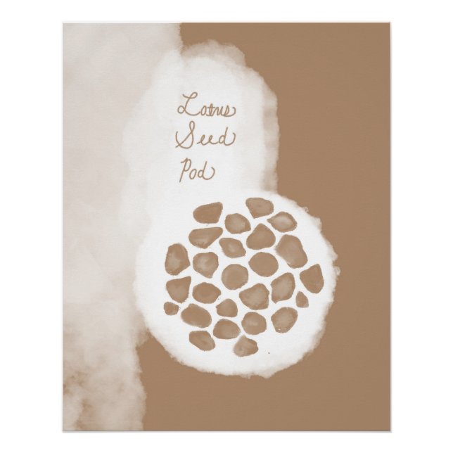 objet_11_lotus Samenpod Hochglanzposter Poster (Vorderseite)
