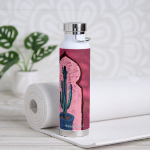 objet_21 ein Fenster mit einem Kaktus Trinkflasche