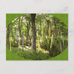 Oboe Forest Postkarte