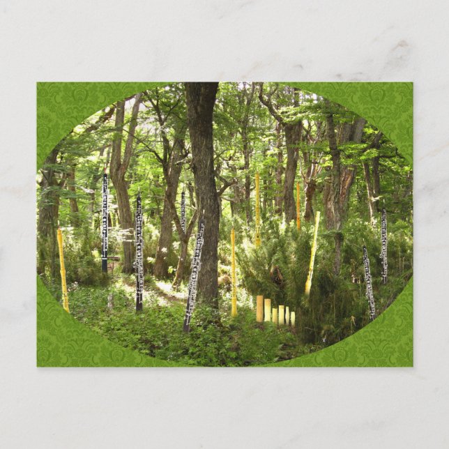 Oboe Forest Postkarte (Vorderseite)