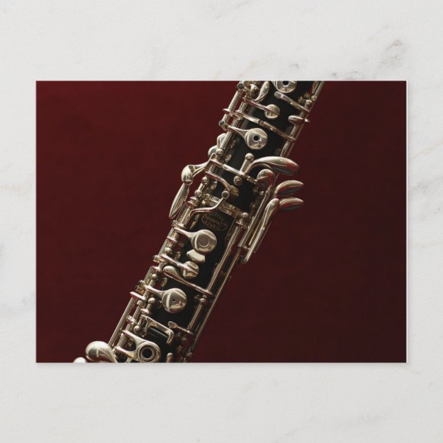 Oboe-Musikinstrument Postkarte (Vorderseite)