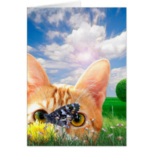 Observateur de papillon