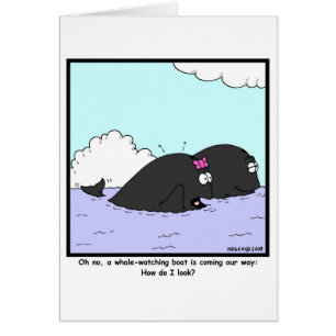 Observation de baleine : Bande dessinée de balein