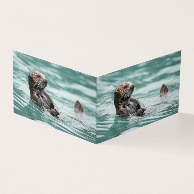 Observation de la Loupe de mer (Outside)