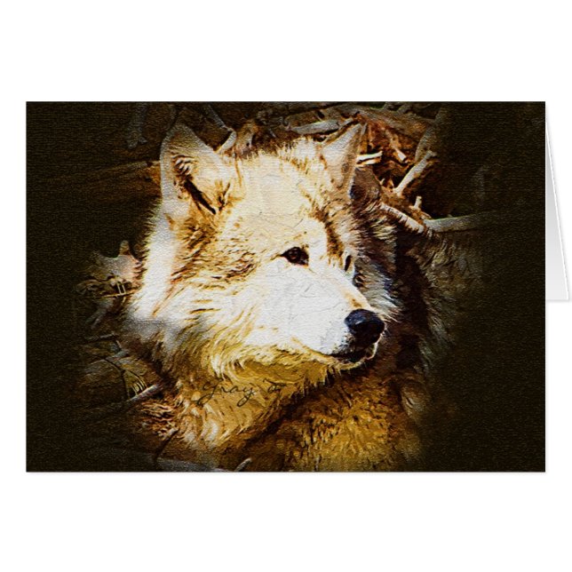 Observation de loup gris (Devant horizontal)