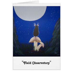 "Observatoire de champ "