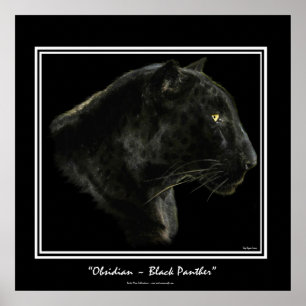 "OBSIDIAN" ~ Black Panther Puma Wildlife Art Print Poster