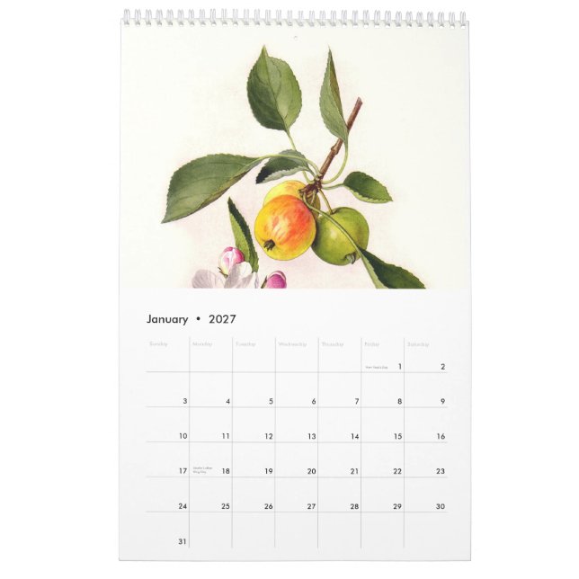 Obst 2015 kalender (Jan 2027)