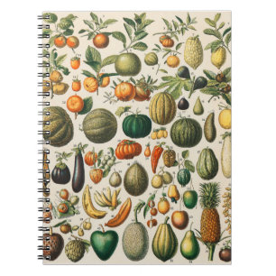 Obst Gemüse Botanische Wissenschaftliche Illustrat Notizblock