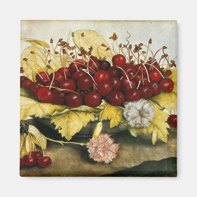 OBST/KERNE UND KARNATIONEN DER SAISON MAGNET (Vorne)