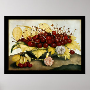 OBST/KERNE UND KARNATIONEN DER SAISON POSTER