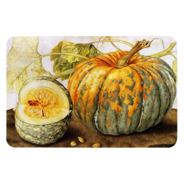 OBST/PUMPKINS DER SAISON MAGNET (Horizontal)