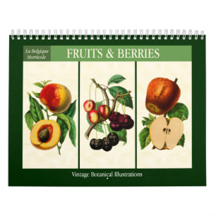 Obst und Beeren Vintag Botanisch 2026 Kalender