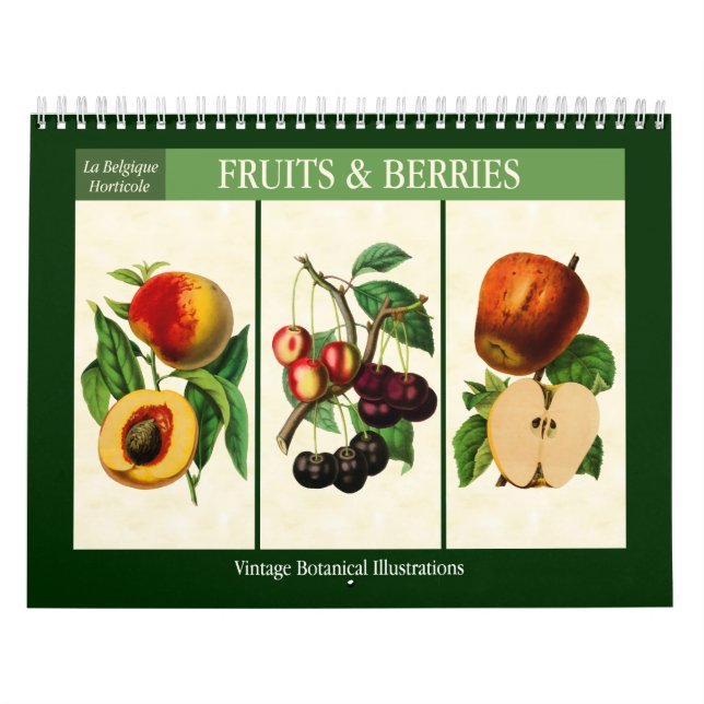 Obst und Beeren Vintag Botanisch 2026 Kalender (Titelbild)