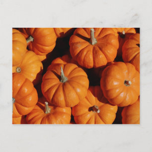 Obst und Lebensmittel Postkarte 17