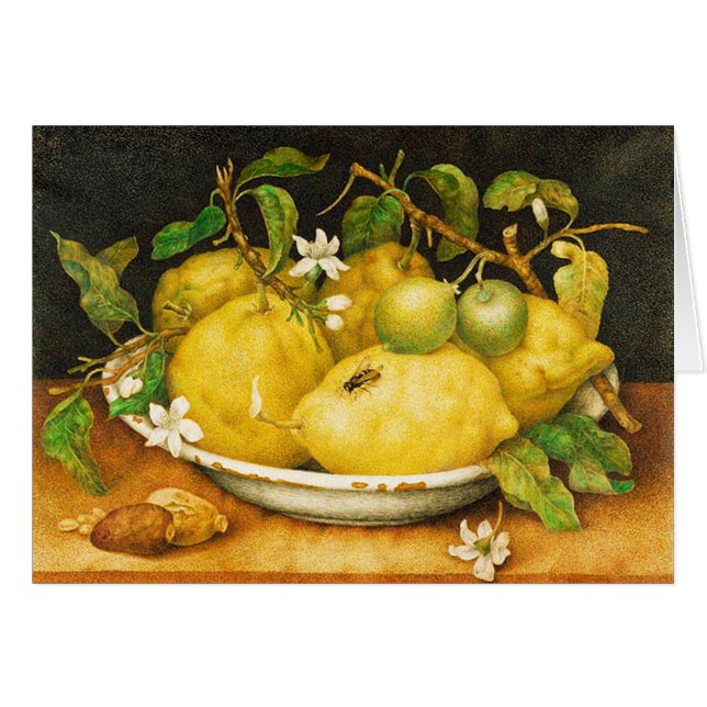 OBST UND WEISSE BLUME DER SAISON (Vorderseite (Horizontal))