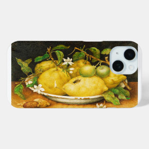 OBST UND WEISSE BLUME DER SAISON Case-Mate iPhone HÜLLE