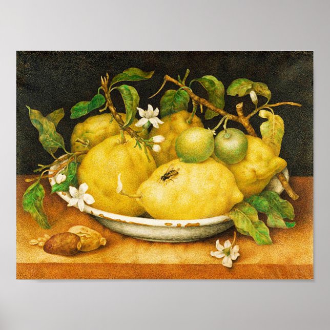 OBST UND WEISSE BLUME DER SAISON POSTER (Vorne)