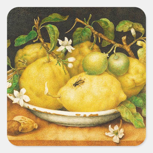 OBST UND WEISSE BLUME DER SAISON QUADRATISCHER AUFKLEBER (Vorderseite)