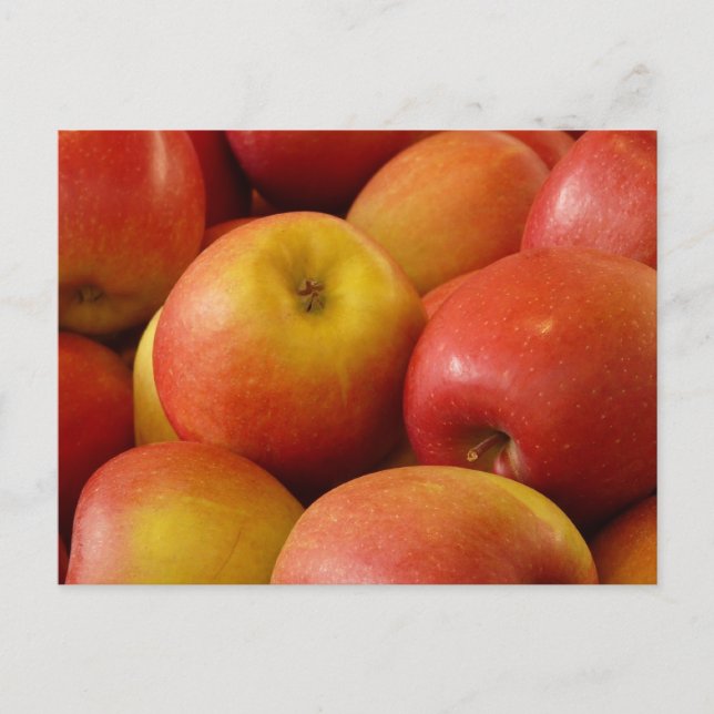 Obstäpfel Herbstfarben Schicksal Postkarte (Vorderseite)