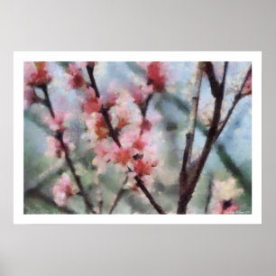 Obstbaum-Blüten-Grafik-Plakat Poster