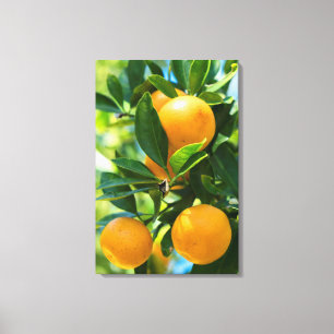 Obstbaum Leinwanddruck