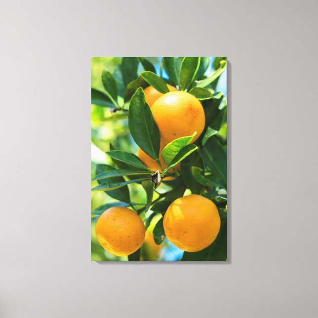 Obstbaum Leinwanddruck (Vorderseite)