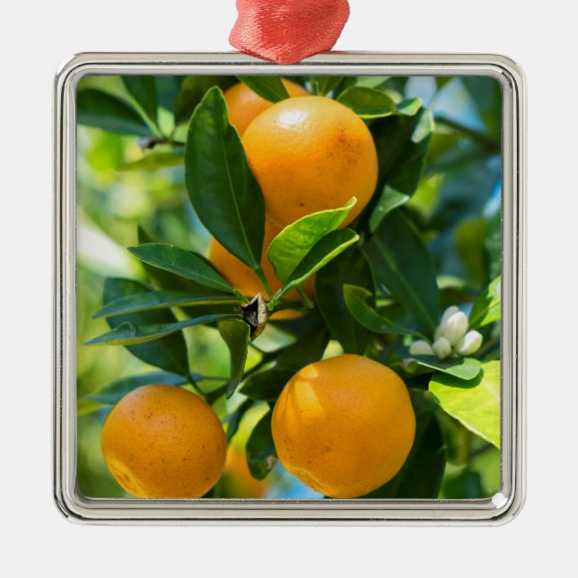 Obstbaum Ornament Aus Metall (Vorne)