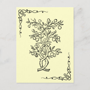 Obstbaum Postkarte