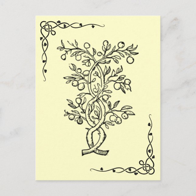 Obstbaum Postkarte (Vorderseite)