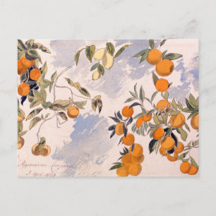 Obstbäume - Edward Lear Feiertagspostkarte