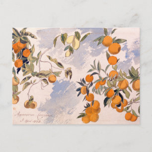 Obstbäume - Edward Lear Postkarte