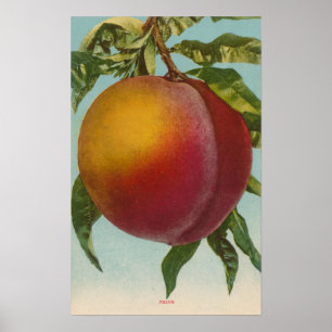 Obstchromlithograph von PeachFruitState Poster