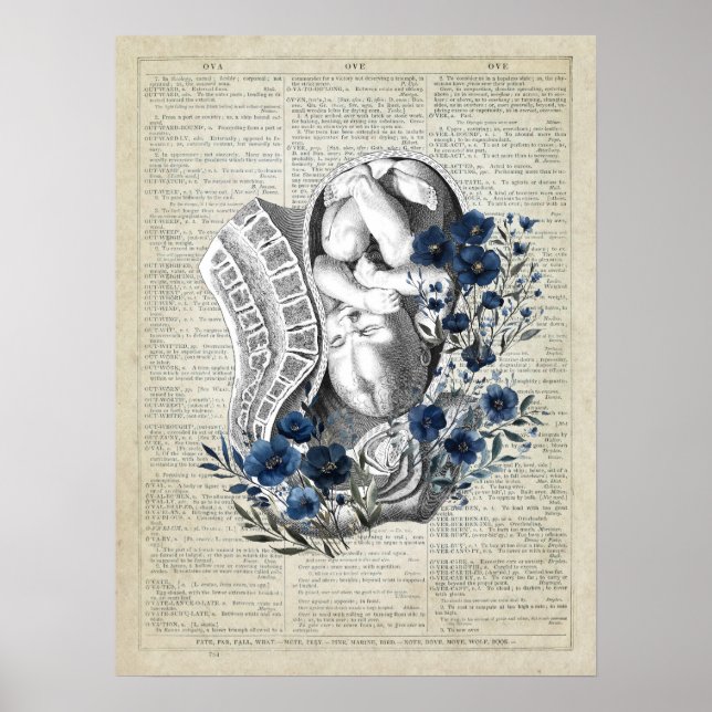 Obstetrics Baby in Womb Anatomy Blue Floral Art Poster (Vorne)
