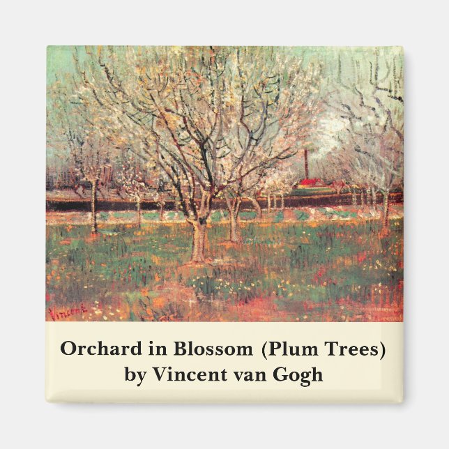 Obstgarten in Blossom, Pflaumen von Vincent van Go Magnet (Vorne)