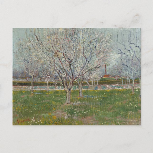 Obstgarten in Blossom Pflaumenbaum von Vincent Van Postkarte (Vorderseite)